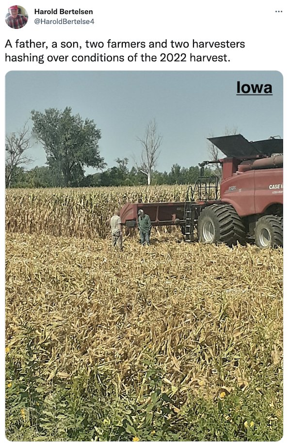 FarmTank's tweet photo. FarmTank Tweet of the Day!

Congrats to @HaroldBertelse4 @efino87 @j_lew_21 and @KenHofer13 for being featured in @KevinVanTrump report! 

#FarmTank #VTR #Corn #Agriculture #Soybean #AgTwitter #wheat #harvest22 #harvest2022 https://t.co/iSNLdCOhtv
