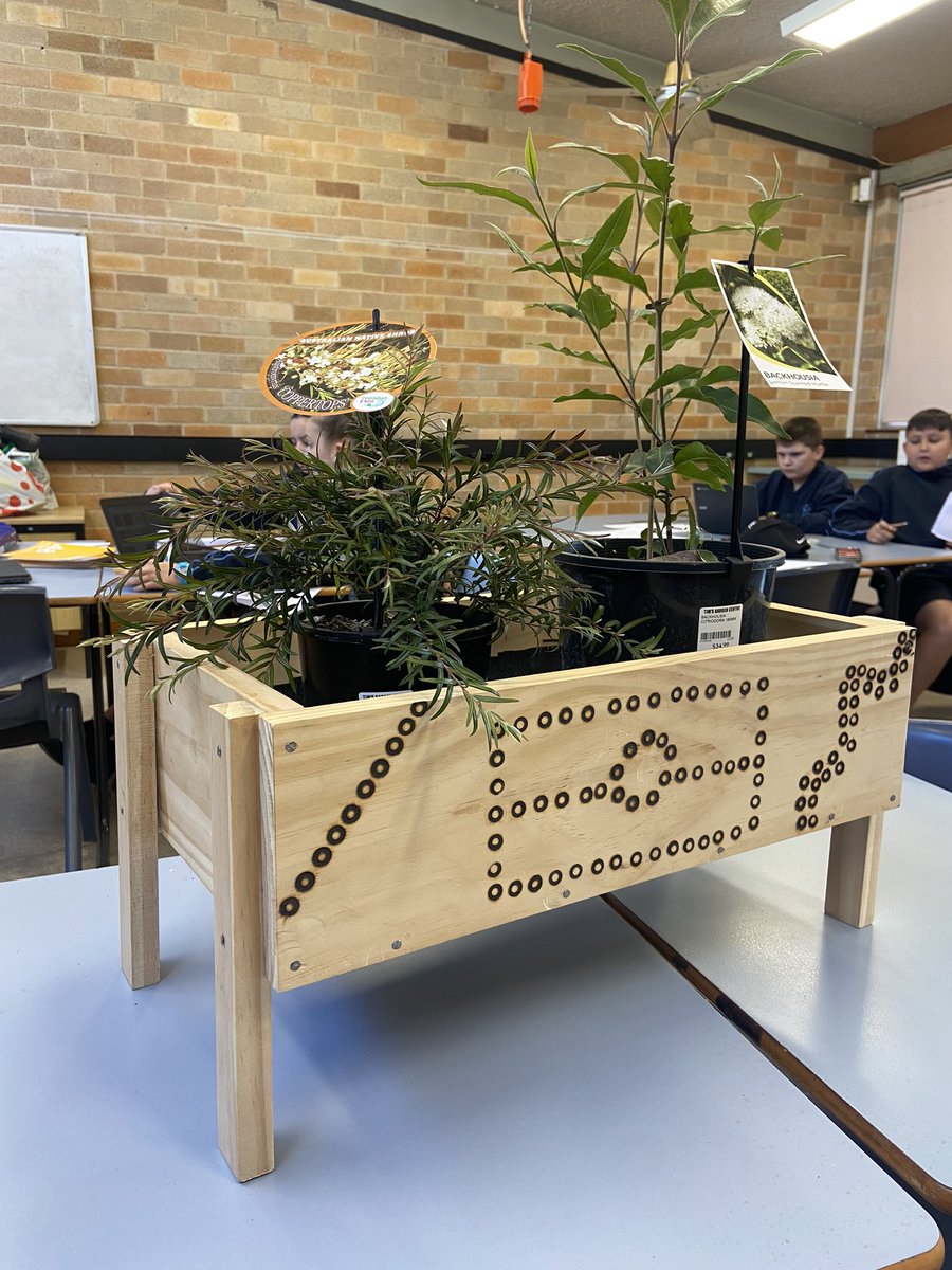 Stage5Curiosity's tweet photo. @JamesMeehanHS moving closer to our SIP goals of an innovative Stage 5 curriculum with the beginning of our pilot project week. Mr. Pabiona pilots his Nature &amp; Nurture project, with students learning about the impact of and importance of flora and constructing mini-garden beds. https://t.co/3gBKmfQkEZ