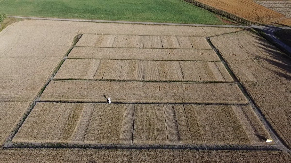 liespuu's tweet photo. Long-term tillage management system trial (2003- ). #ploughing, #disc_drilling, #direct_drilling The reduction of tillage has resulted in better soil structure and Improved cultivation stability in varying weather conditions. #YaraKotkaniemi #Finland https://t.co/o54PZRDJmc