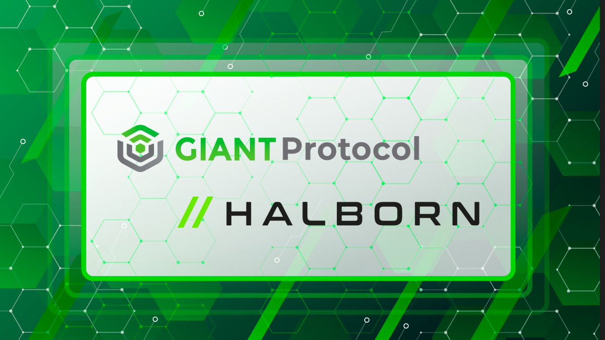 We are excited to announce our partnership with the award-winning cybersecurity firm <a href="/HalbornSecurity/">Halborn</a> for our pallet #audits 🔐

Join GIANT and Halborn as we venture on this journey to maximize the security of our protocol 🛡️
