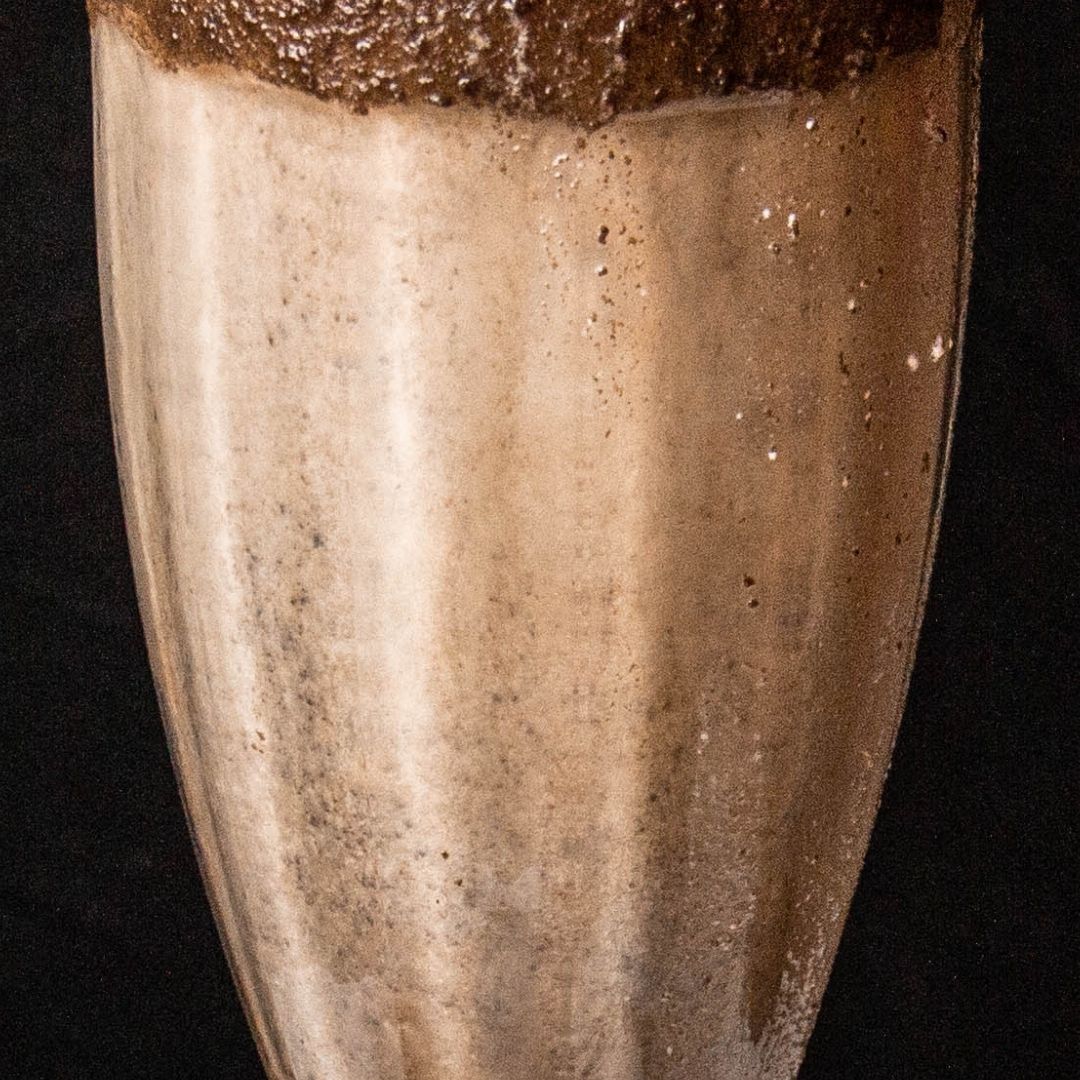 StroudcoFoodhub's tweet photo. A slurping great day everyone - #ChocolateMilkshakeDay โ๏ธ
#stroud #refreshing #gloucestershire #creamy #shoporganic #shopethical #froth #cocoa #chooselocal #painswick #chalford #dairy #foodie #drinks #milkshake #chocolate #drinkup #yum #treats #nailsworth #chocolatemilkshake https://t.co/K99zWTlF6I