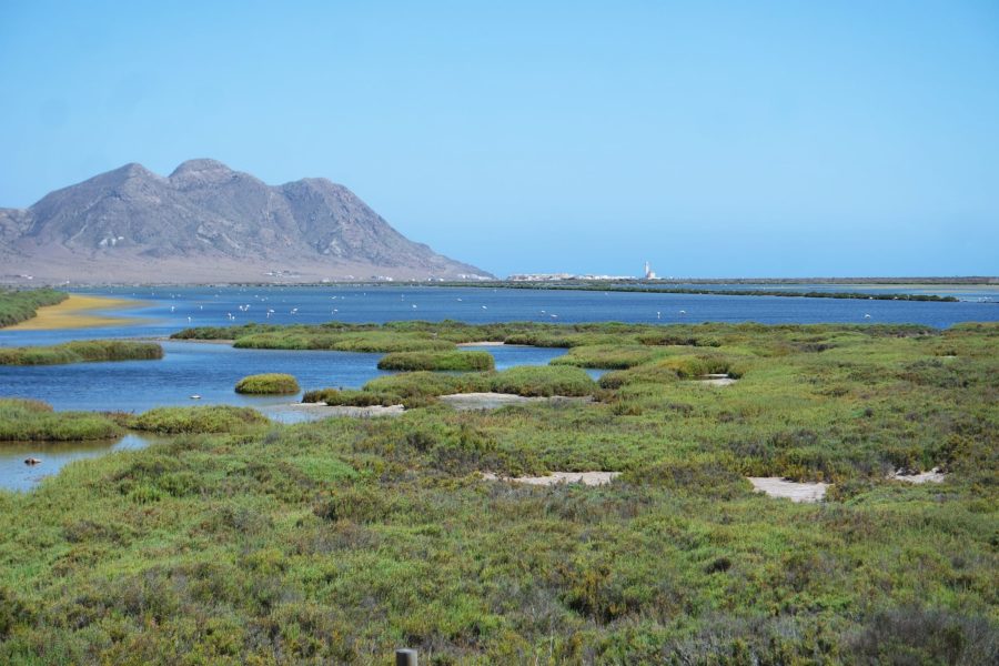 10 planazos que hacer en Almería provincia dlvr.it/SYB6hY de <a href="/lacosmopolilla/">la cosmopolilla</a>