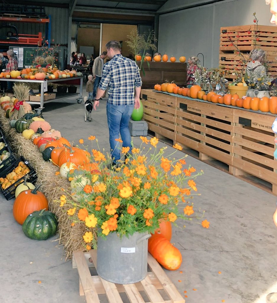 Wat een mooie 4e editie van Pompoenen en Bloemen. Gezellig en kleurrijk met meer dan 600 bezoekers. Top team! #Geervliet <a href="/OPVoornePutten/">OP Voorne-Putten</a> #pompoenen #droogbloemen #streekproducten #herfst