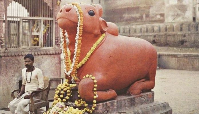 FcdN_Q4XkAABr61?format=jpg&name=900x900