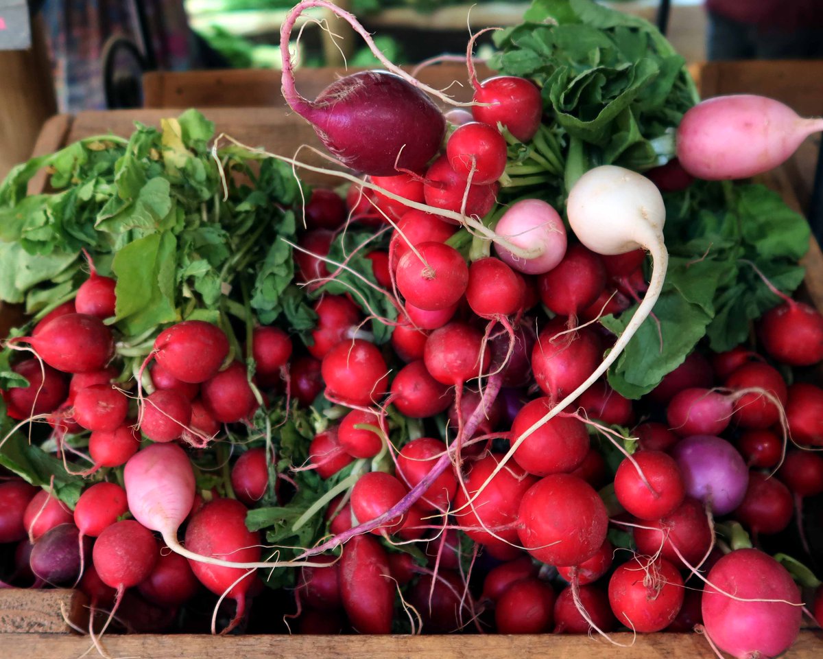 Bryanston Market tweet media