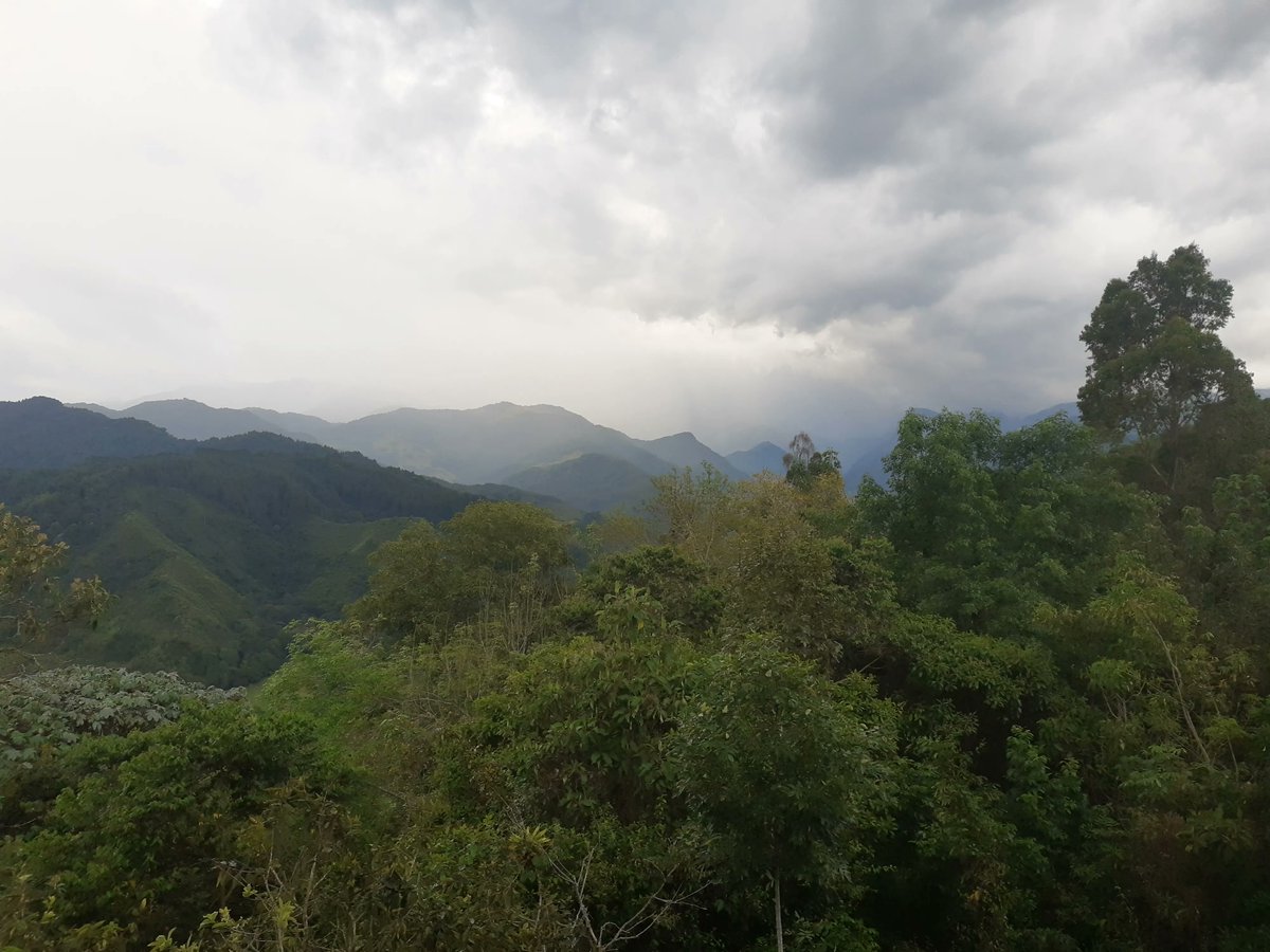 RuthMillington1's tweet photo. Beautiful Salento. Coffee plantations, trout farming & tourism keep this place alive & local transport is by WWII Willy jeeps!
#colombia #coffee #travel #solotravel #backpacking
#adventuretravel #explore #traveldiaries #Solento https://t.co/AYHZOETOAU