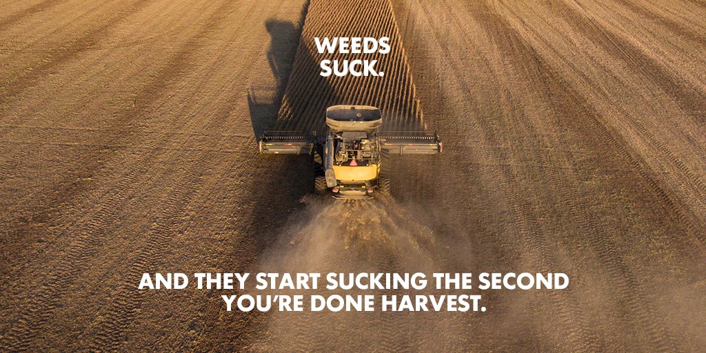 Do you need a new ally in your battle against wild oats? In Western Canada Group 1-, 2- and 8-resistant populations are increasing. Consider adding fall applied #Fierce EZ to your arsenal for up to 8 weeks of wild oat suppression next spring. bddy.me/3xgf3ft #WestCdnAg
