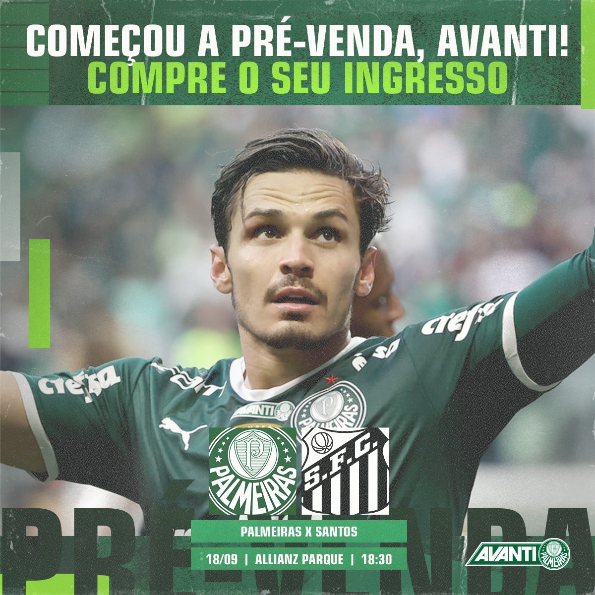 Descobrir 78+ imagem santos x palmeiras ingresso br.thptnganamst.edu.vn