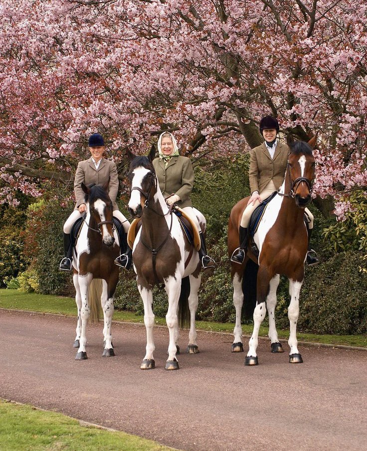 CoutureAndRoyals on Twitter: 