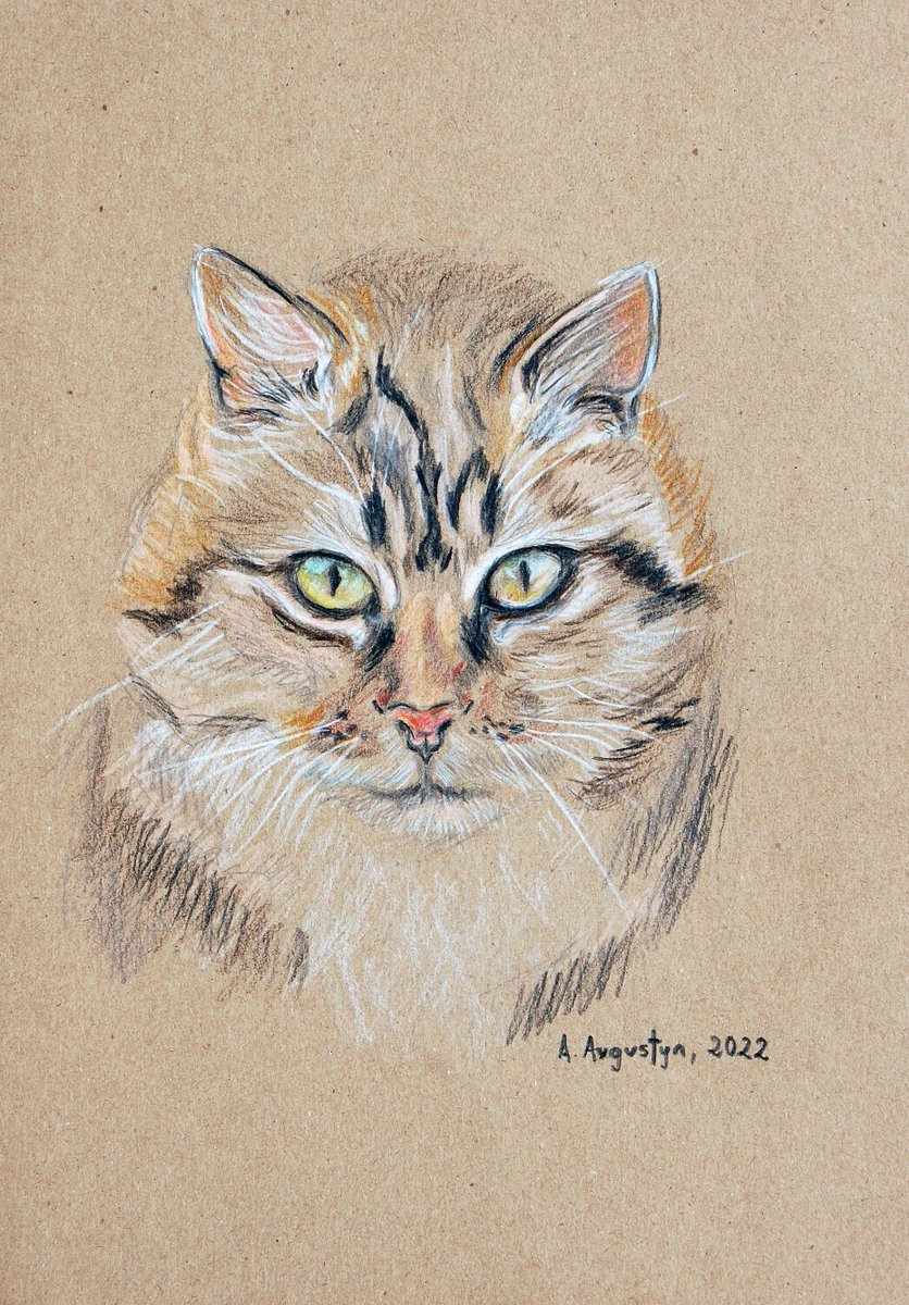 #pencil &amp; #crayons on paper #fineartdrawing #catdrawing #catart #catonpaper #drawings #art #fineart #drawings #colorfuldrawings #animalart #catportrait #animaldrawings #drawingsfrompoland