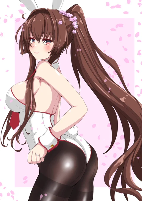 大和うさぎ 