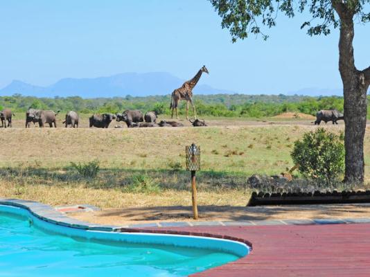 SAPlaces's tweet photo. Situated within the Thornybush Big 5 Game Reserve, Tangala Safari Camp overlooks a wide open plain, busy waterhole and has sweeping views of the majestic Drakensberg mountain range.  
https://t.co/GlU1mjAxvw

#thornybush #big5 #tangalasafari #romantic #travellerlife #tourism https://t.co/qvxbx9e4OI