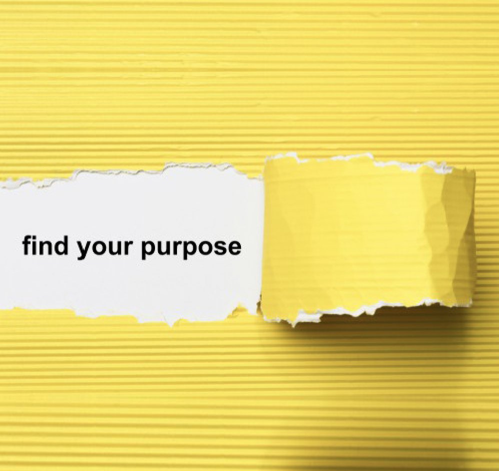 We are witnessing a big transformational moment—akin to the transfer from analog to digital… people are beginning to realize that paying attention to the perceptions of their company, and to the social consequences of their products, is good business.

—@RebeccaMHenderson