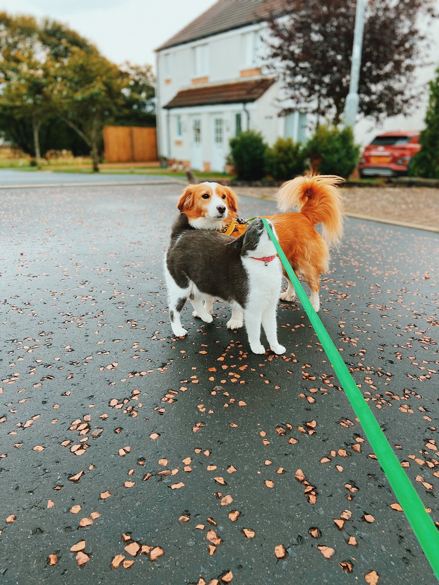 Alan Mcghee tweet media