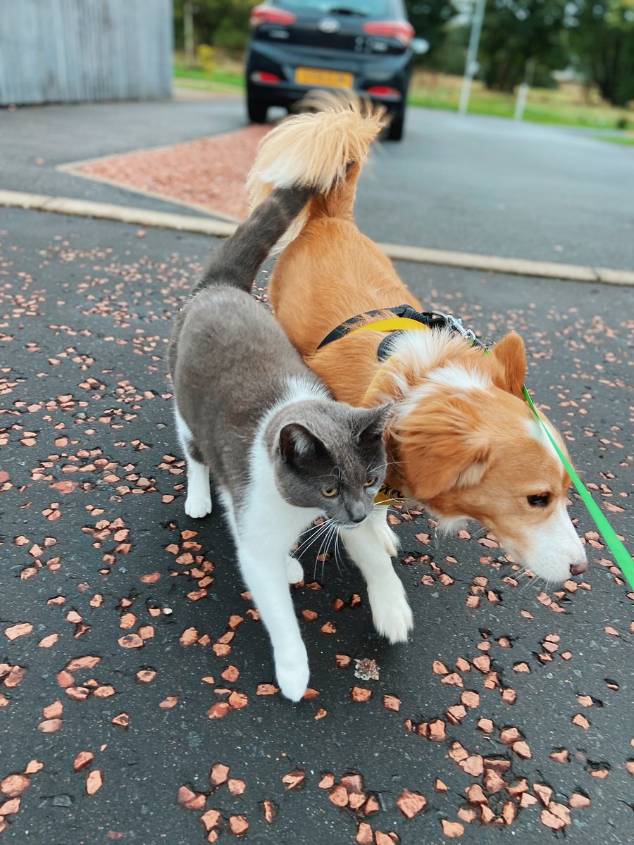 Alan Mcghee tweet media