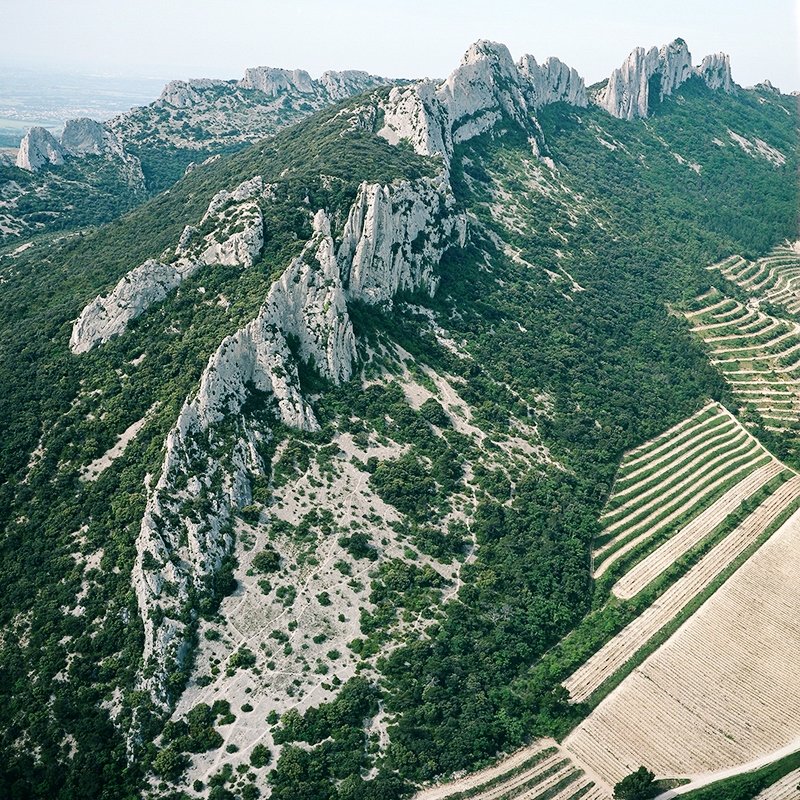 It's finally official - AOC Gigondas will include white wines from the 2023 vintage!

The decision, ratified last Thursday, came after 11 years of hard work by the appellation. They must be minimum 70% Clairette.

Beautiful pic by Ilka Kramer #rhone #news