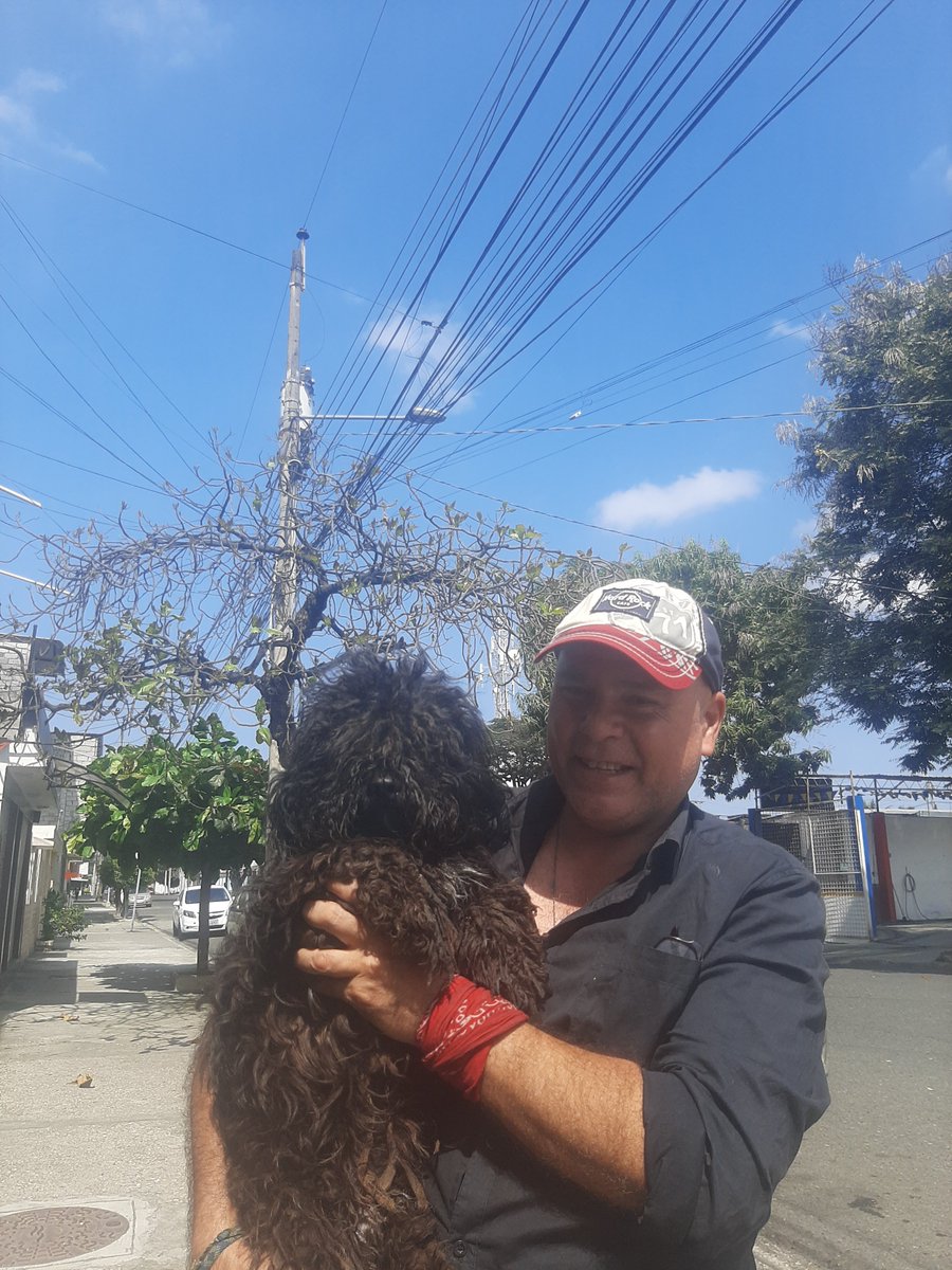 ArturoJEscala's tweet photo. Chewbacca esta totalmente de acuerdo con la promulgación del Código Orgánico de Protección Animal - Kiara, #COPAK y suma sus esfuerzos para la plena vigencia de esa Norma, pues le favorece a él y a sus congéneres. https://t.co/7mkyCoJzVe
