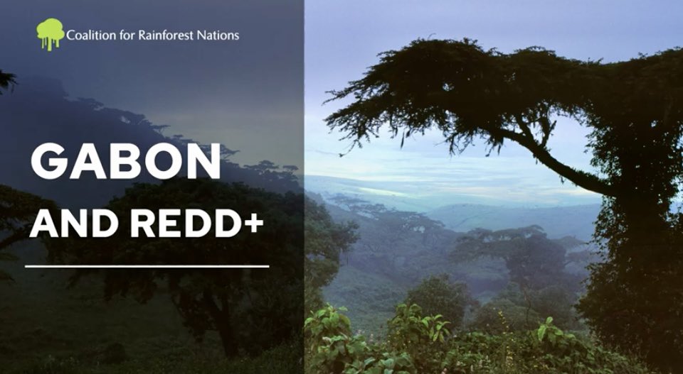 ZitaWilks's tweet photo. #Gabon Road to #cop27: Great video of The Permanent Secretary of @GabonClimat Mr Tanguy Gahouma discussing the uniqueness and importance of the country’s rainforest and how the REDD+ mechanism is key to its existence! @CfRN_org @UNFCCC #Gabonforward 👏🏽🇬🇦
https://t.co/d9XK0BVXc5 https://t.co/J2SWowV5F3