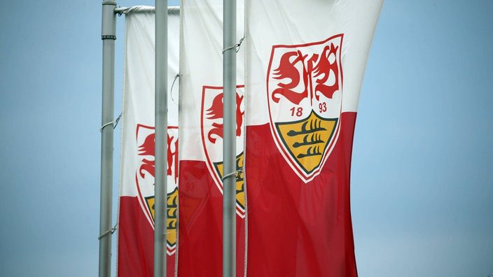 literally_nice's tweet photo. Nächste Woche wieder der Kollege in der TL
#VfB https://t.co/VXcY6NVB8l