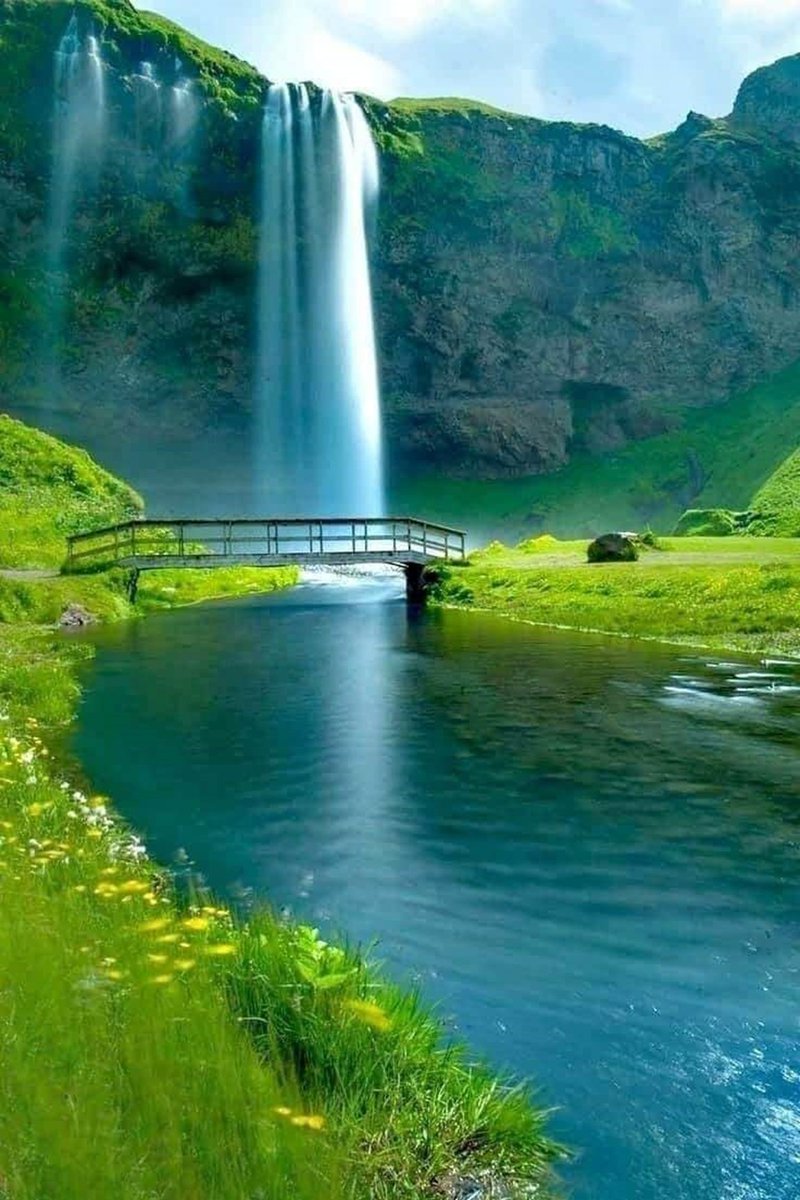 Good afternoon ☀️💚☀️