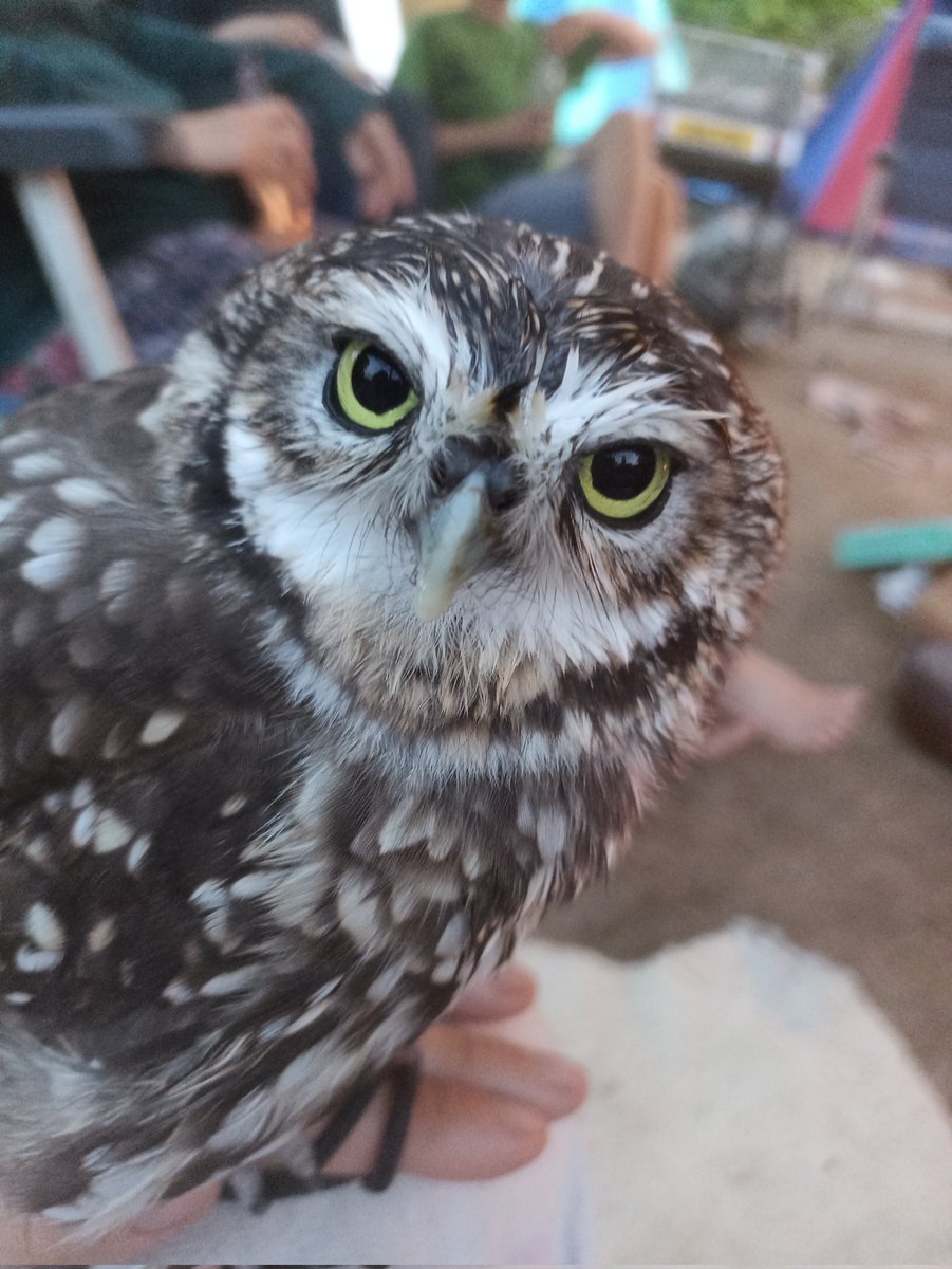 It's been a fun season and so much fun to get out there to see the sites &amp; you good people, we do this because we love doing this &amp; you're a big part of that so thank you all. <a href="/cadwcymru/">Cadw</a> <a href="/Bishops_Palace/">The Bishop's Palace</a> <a href="/GlastonburyAbbe/">Glastonbury Abbey</a> &amp; Carew Castle. Still <a href="/DbyCandlelight/">Dunsterbycandlelight</a> to look forward too!