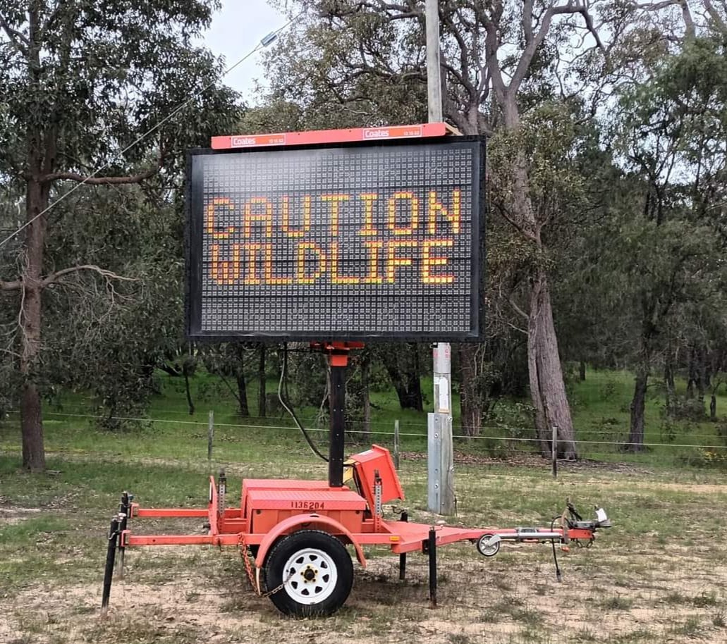 MissT2020's tweet photo. For too long our environment has suffered, we are watching helplessly as all around Australia our precious native animals and prime habitat is destroyed. Environmental laws are weak. Infrastructure and Development always win. @tanya_plibersek Why?#savegelorupcorridor https://t.co/BqUtLUl6oQ