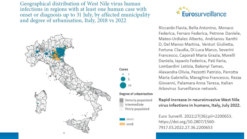 Eurosurveillanc's tweet photo. @ECDC_EU @EU_Health @WHO_Europe @flaric76 @albertomateou @istsupsan By 24 August 2022, 41 of the 107 Italian provinces had detected #WNV circulation

In June and July, the authors observed a more westward and southward spread of human #WestNile cases in comparison to 2018, with more affected municipalities 
⬇️
https://t.co/AOHi3xNI7N

#WNF https://t.co/EXp5jpvCkE