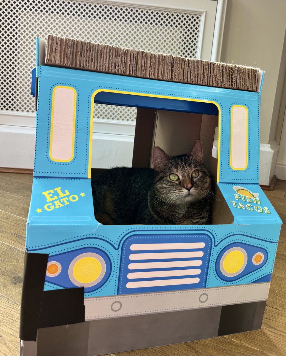 PickliciousF's tweet photo. Just going out for a drive https://t.co/X41TDGpI9d