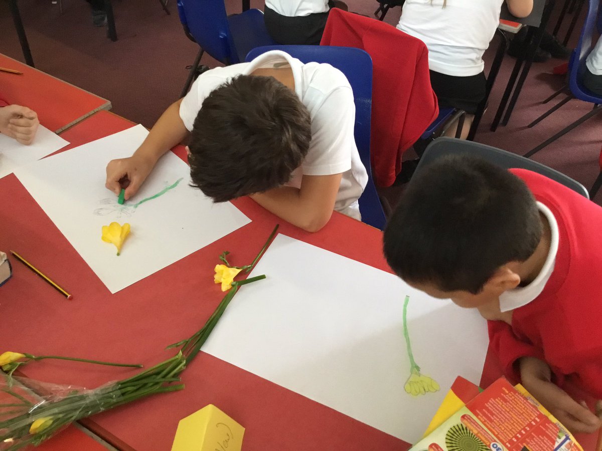 TJPrimary's tweet photo. A combination of art and science in 5WM this afternoon for our science theme ‘Living Things’ #tjscience #tjart https://t.co/pIuKrjSGVd