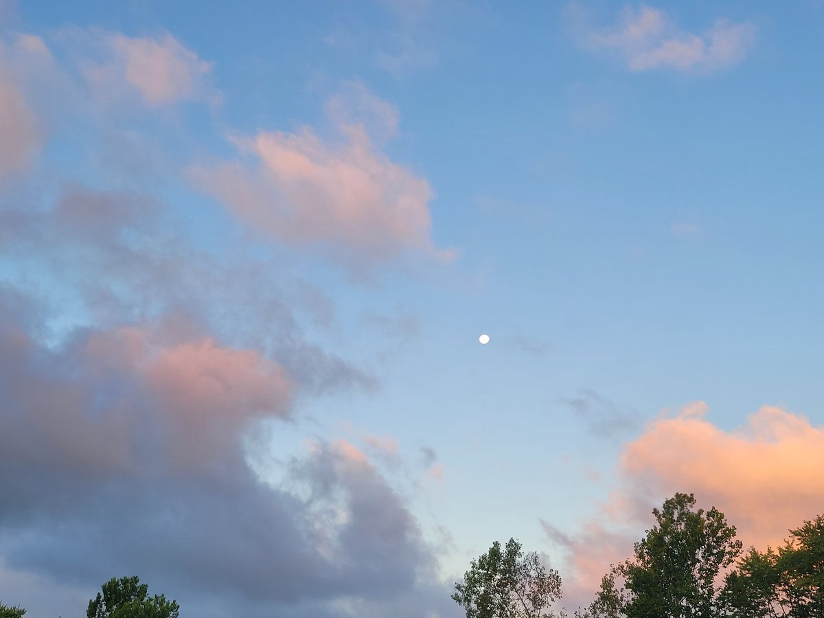 JasonSowers7's tweet photo. Have a wonderful moon day https://t.co/nBGIJjua5k