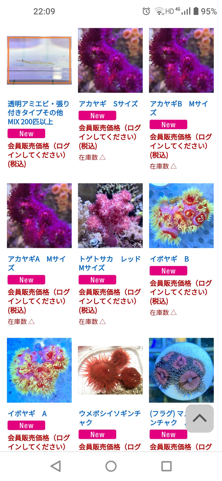 海をお手本にしたアクアリウム シュリンプ Shrimp Aquarium Twitter