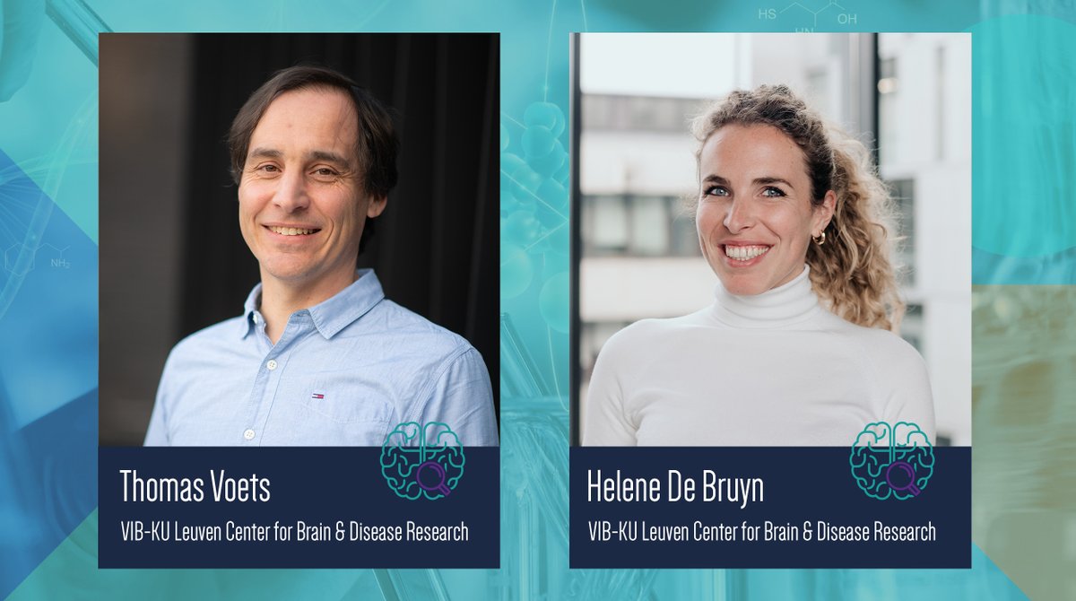 VIB (@viblifesciences) on Twitter photo Around 1🅱 people across the globe suffer from bladder issues. Thomas Voets (<a href="/licr_leuven/">Laboratory Of Ion Channel Research - Leuven</a>) and Helene De Bruyn (<a href="/DeBruynHelene/">Helene De Bruyn</a>) now updated a technique to study this in detail 🧐 👉 bit.ly/3S0NPS5
#VIBNeuroscience #machinelearning
<a href="/CBD_VIB/">VIB-KU Leuven Center for Brain & Disease Research</a> <a href="/KU_Leuven/">KU Leuven</a> <a href="/BioImagingCore/">Bio Imaging Core</a> Around 1🅱 people across the globe suffer from bladder issues. Thomas Voets (<a href="/licr_leuven/">Laboratory Of Ion Channel Research - Leuven</a>) and Helene De Bruyn (<a href="/DeBruynHelene/">Helene De Bruyn</a>) now updated a technique to study this in detail 🧐 👉 bit.ly/3S0NPS5
#VIBNeuroscience #machinelearning
<a href="/CBD_VIB/">VIB-KU Leuven Center for Brain & Disease Research</a> <a href="/KU_Leuven/">KU Leuven</a> <a href="/BioImagingCore/">Bio Imaging Core</a>