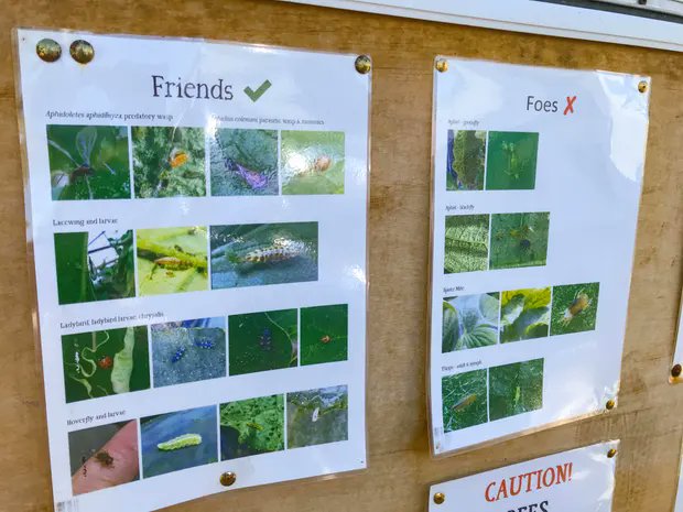 Doing Things Differently tweet media