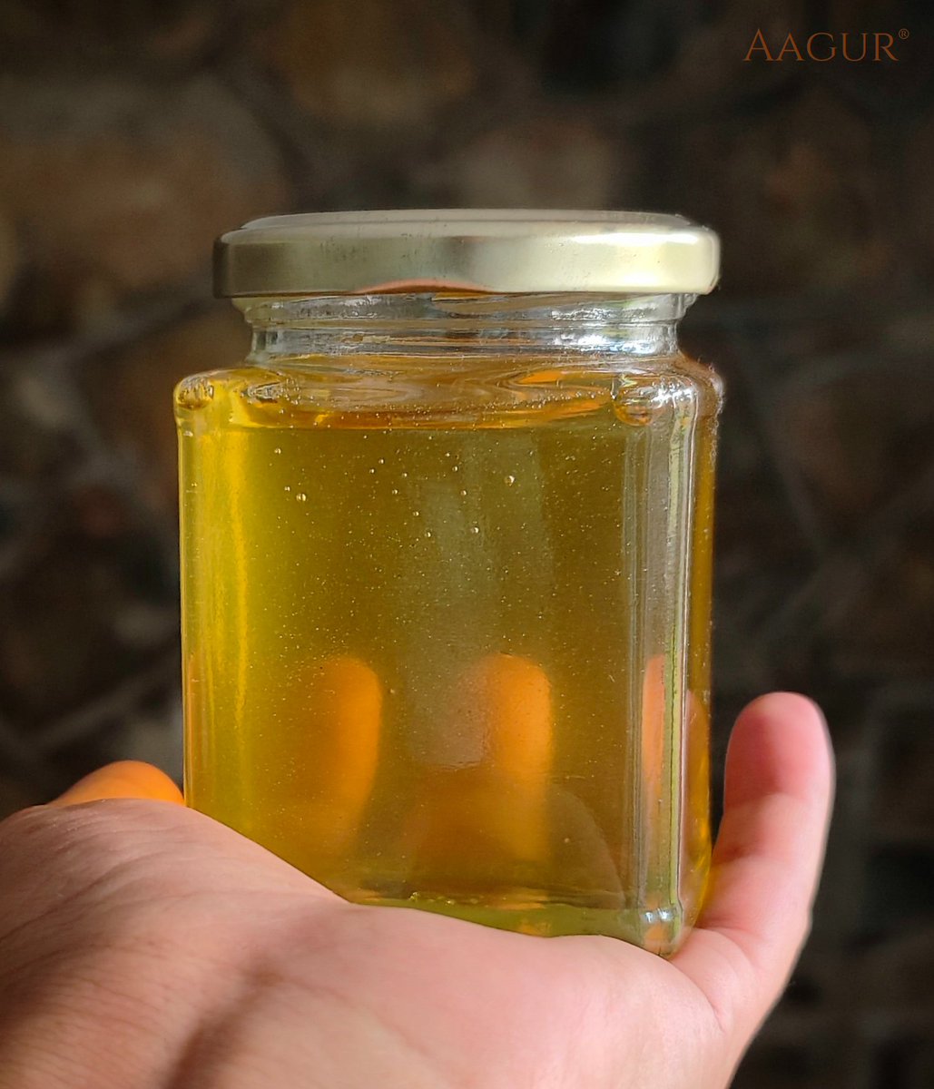 AagurTheOrigin's tweet photo. An extraordinary, almost transparent lot of mono-floral Kashmiri White aka Acacia Honey in store now. 
.
Start your day with the finest that Kashmir has to offer.
.
Order online through our website at https://t.co/OoZmKhJtDC 
.
We deliver pan-India. 
.
#aagur #acaciahoney #honey https://t.co/eXbSZWD1CQ