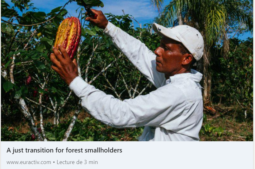 FairTradeFTAO's tweet photo. 🚨Tomorrow, the @Europarl_EN will have the opportunity to show its level of ambition when it comes to shaping future-proofed EU Regulation on #Deforestation: one that reduces deforestation rates while securing a just transition for #Smallholders.

➡️https://t.co/ZS1Bzvj9qA https://t.co/FryRbdL2Kc