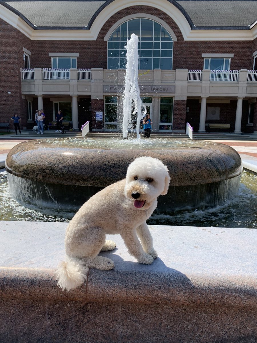 macphaidin_lib's tweet photo. We hope you enjoyed the library's Welcome Event on 9/9!  Special thanks go out to @stonehillartclub, @stonehillgaming, and our friends at @stonehill_police for making the event possible! 💜

#MacphaidinLibrary #StonehillLibrary #WelcomeEvent #ThankYou https://t.co/ln1ILYwgoc