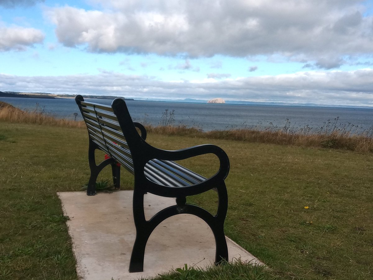 Kevin Waite tweet media