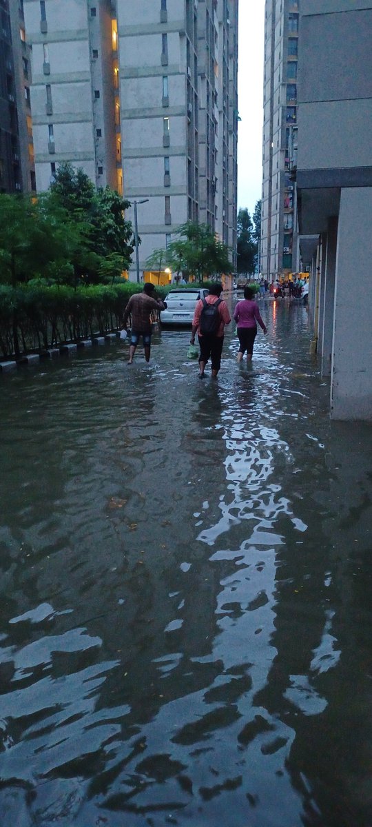 JaniParva's tweet photo. @CMOGuj @AmdavadAMC This is  the current scenario of Satyesh Residency society near shantipura circle,Sarkhej Sanand road, Ahmedabad.
Sewage water is everywhere in society due to improper drainage.
Kindly take necessary actions. https://t.co/xpnXFYe3At