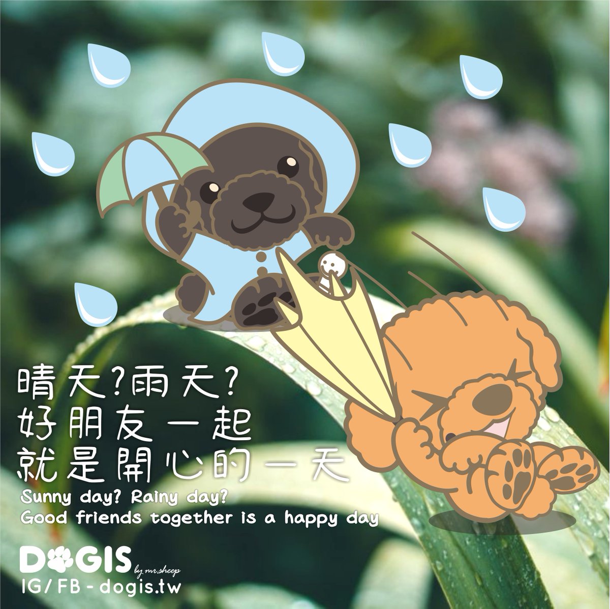 DOGIS_tw's tweet photo. 閃過中秋的下雨天☔⛈
十分符合連假後的週一😭😭😭
雖然讓本就該愁雲慘霧的禮拜一雪上加霜
但看在晚上還有朋友聚餐😘還是很開心的！
.
晴天？雨天？好朋友一起就是開心的一天！
Sunny day? Rainy day? Good friends together is a happy day!
#DOGIS #雨天 #颱風 #朋友 #開心 #rainyday #Poodle #貴賓 https://t.co/88zPx6zIeA