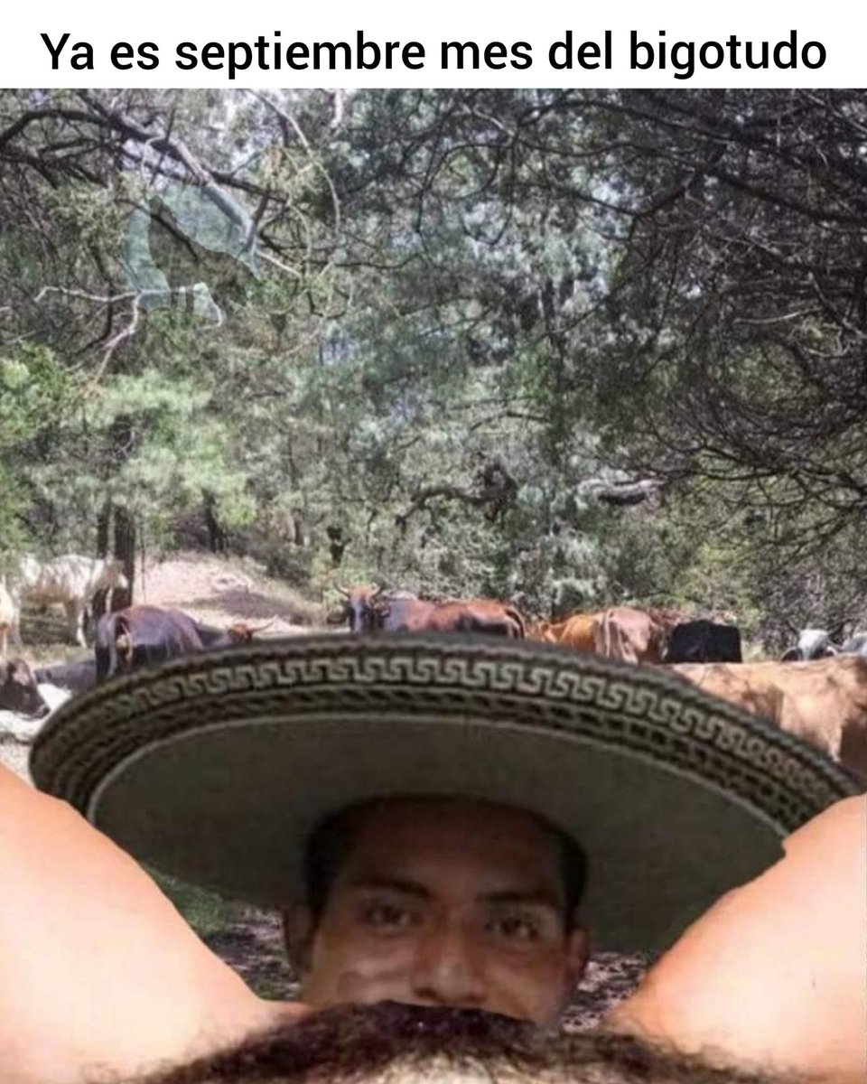 Thewolfsal75 (@thewolfsal75) on Twitter photo 