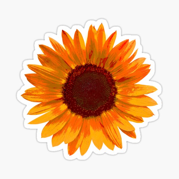 Cool #stickers  make great #gifts !
Buy any 4 and get 25% off.
Buy any 10 and get 50% off.

redbubble.com/people/shellib…
#findyourthing #RBandME #redbubble #BuyIntoArt #GiftThemArt #ShopEarly #dailysticker #fractalart #Flowers #fun #giftidea #deals #sale #artsy #Artists #whimsical