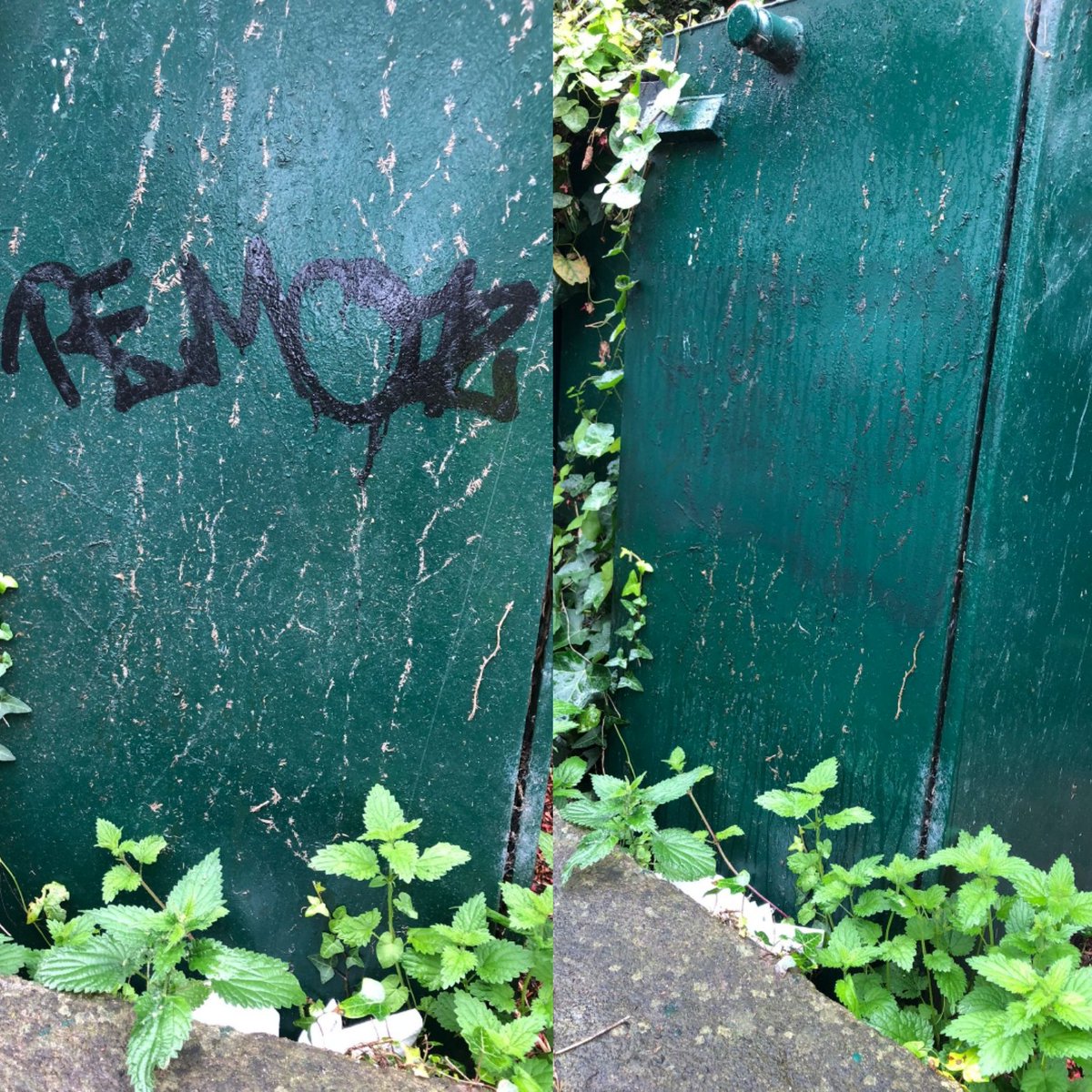 HowthTidyTowns's tweet photo. After a wonderful weekend at @HowthMaritime it was BAU for Team HTT. Our Tom was busy #graffitibusting this morning ๐๐ชplease, please, please #leavenotrace #keephowthclean #keephowthgreen ๐ https://t.co/yn4nuAhBe2