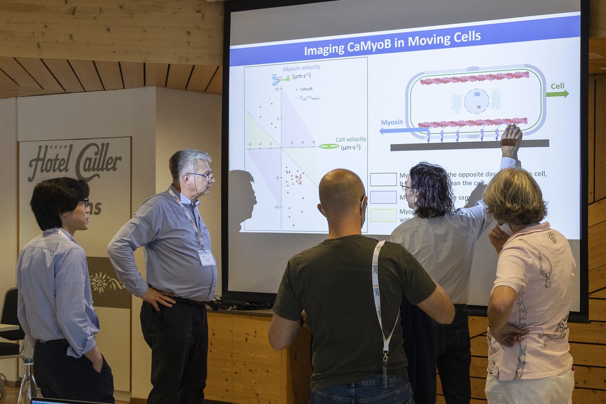 NCCR Bio-Inspired Materials tweet media