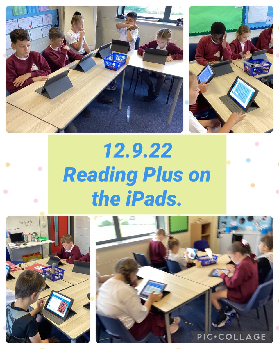 Miss Romano 💙🌈 tweet media