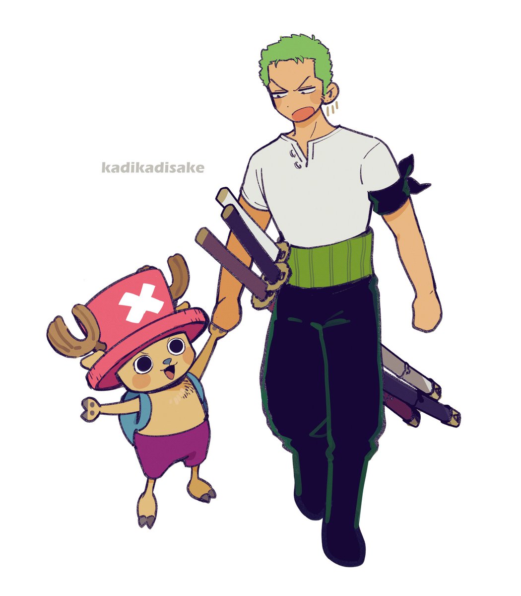 roronoa zoro antlers green hair pink headwear 2boys male focus reindeer hat  illustration images