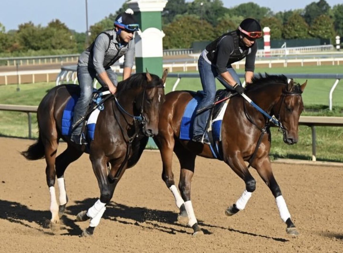 SarahHorsegirl's tweet photo. Phantom Ride Update
Phantom Ride has relocated to the Asmussen barn at Horseshoe Indianapolis as he starts to prepare for his debut hopefully late this month #CandyRidecolt #PhantomRide #MyRacehorse https://t.co/uSXs90ngPm