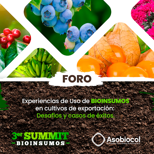 asobiocol's tweet photo. En nuestro 3er SUMMIT Nacional de Bioinsumos Foro: “Experiencias de Uso de Bioinsumos en cultivos de exportación” 
15 de septiembre
Agrosavia C.I Tibaitata Km 14 Vía Mosquera.
Hora:7:00 am - 1:00 pm
 Inscripción: https://t.co/sydGKLhjk2
#Asobiocol #Suelos #AgriculturaRegenerativa https://t.co/fmmuzOv8Kx