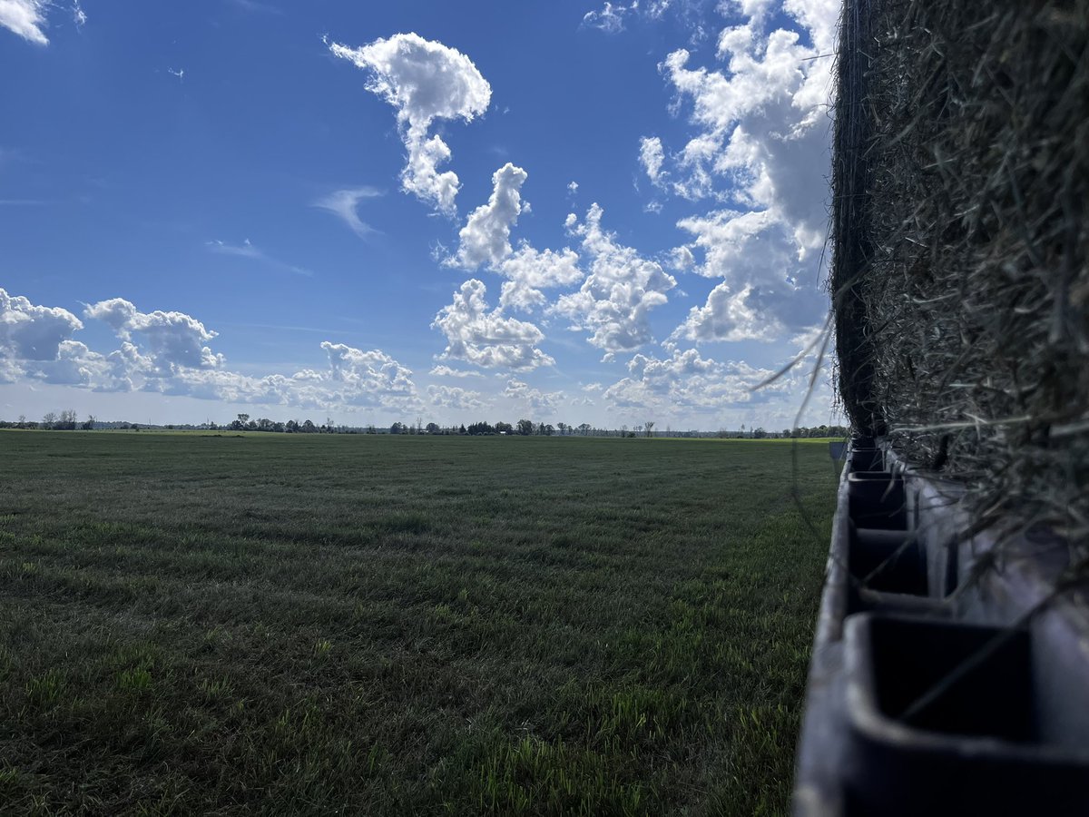 Amanda O'Connell tweet media