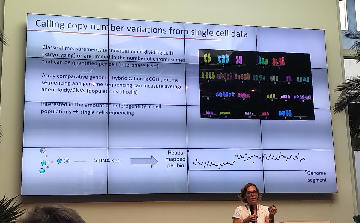 leukaemielabor's tweet photo. Copy number variations are common in various hematologic malignancies but knowledge at the single cell level and patient heterogeneity is limited - nice talk by @colomemaria_epi giving insights into #CNV calling from #scDNA and in particular #scATAC-seq #SCGmeetML https://t.co/JEdbhZcpyN