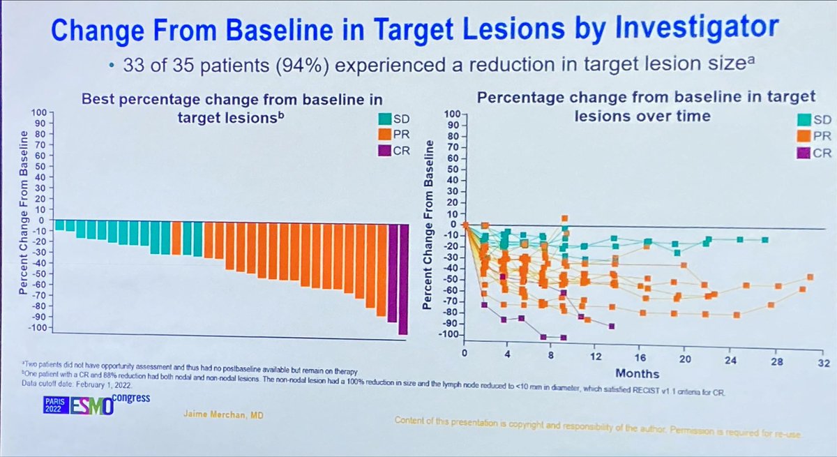 Álvaro Pinto tweet media